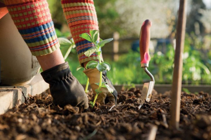 UWEVolunteering's tweet photo. South Glos Council Chair’s Community Award 2018! Has been awarded to @uwegreenspace @WoodlandTrust 

The #Conservation #Volunteering Project has been chosen as one of the group winners for their outstanding contribution to the community. #StudentVolunteeringSW https://t.co/koKOVee4VB