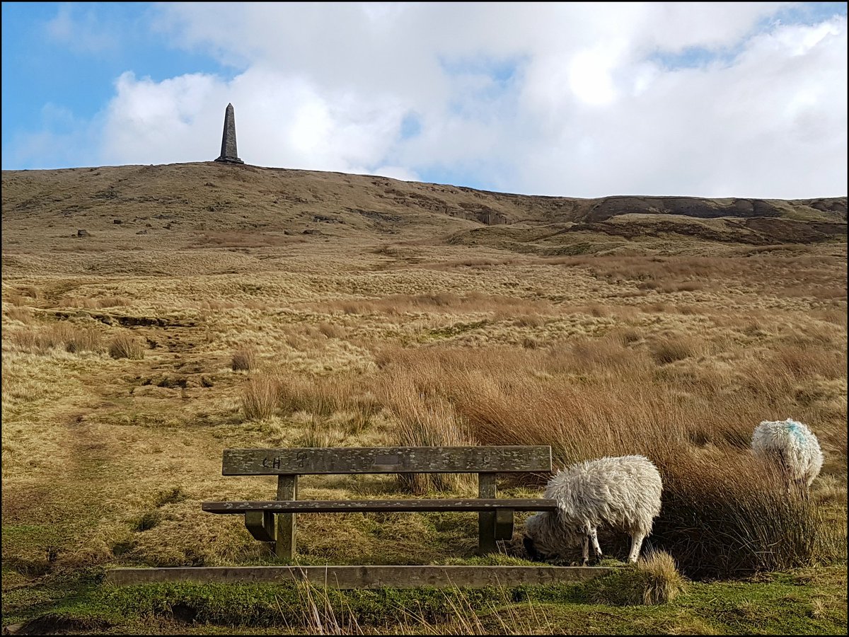 StripeyAnne's tweet photo. #Yorkshire nowhere like it. #StoodleyPike #Calderdale #LoveYorkshire. Though today it was #nithering up top! https://t.co/cutgu7rKeu