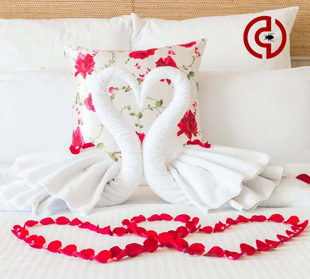 ClearVueTraps's tweet image. On Valentines Day or any other day for that matter, the only thing that should sneak into your bed is your loved one(s) -- or these beautiful towel swans.
#bedbugssuck #prevention #stopbedbugs