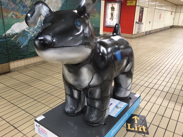 My_Metro's tweet photo. We are looking forward to the #greatnorthelmer trail in support of @stoswaldsuk. Here is a throwback to #greatnorthsnowdogs trail from 2016. #ThrowbackThursday #TBT https://t.co/yrc0z4OHKn