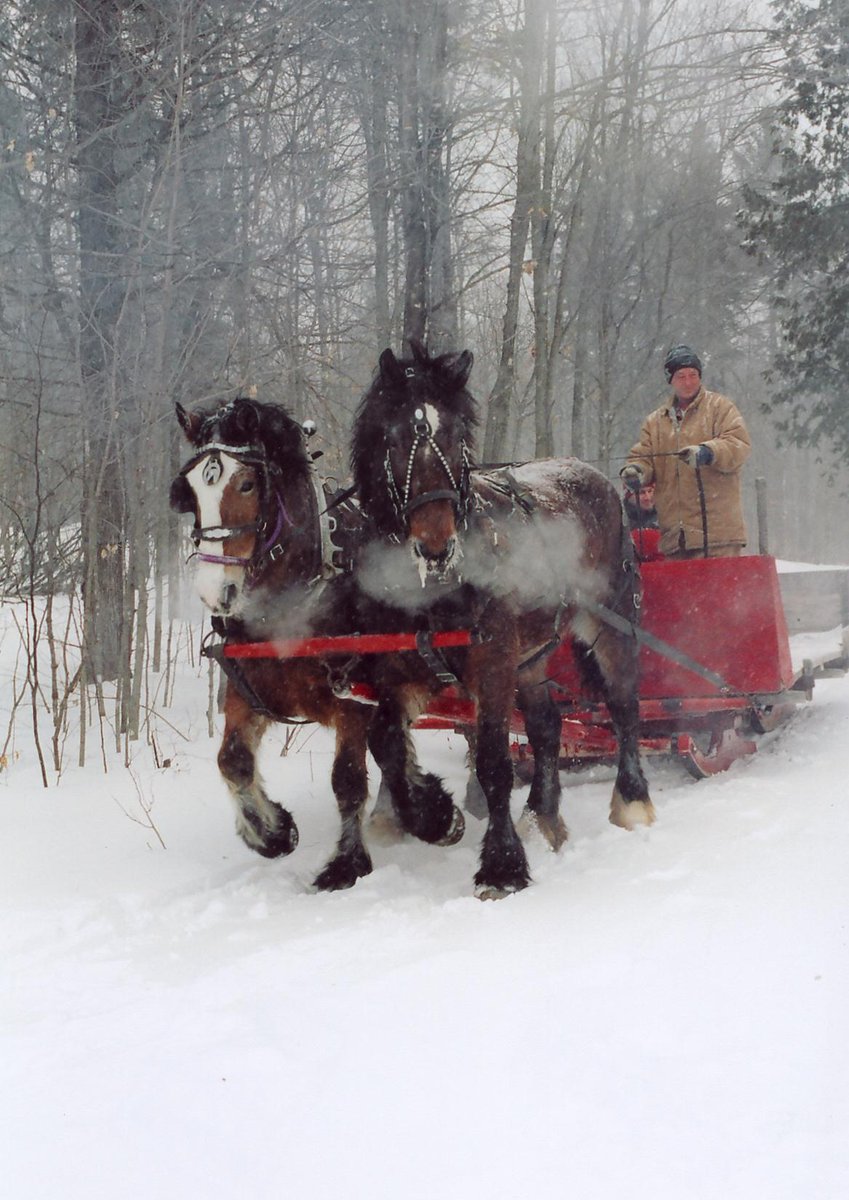 Where Ottawa (@whereottawa) on Twitter photo #MapleSeason kicks off Saturday! It features all the fun, food, and family activities that make a thaw so sweet. 🍁 For over 170 years, five generations have tended the <a href="/FultonsMaple/">Fulton's Maple</a> winding sugar bush trails and perfected fluffy pancakes to soak up the goodness. 😋 #MapleSeason kicks off Saturday! It features all the fun, food, and family activities that make a thaw so sweet. 🍁 For over 170 years, five generations have tended the <a href="/FultonsMaple/">Fulton's Maple</a> winding sugar bush trails and perfected fluffy pancakes to soak up the goodness. 😋