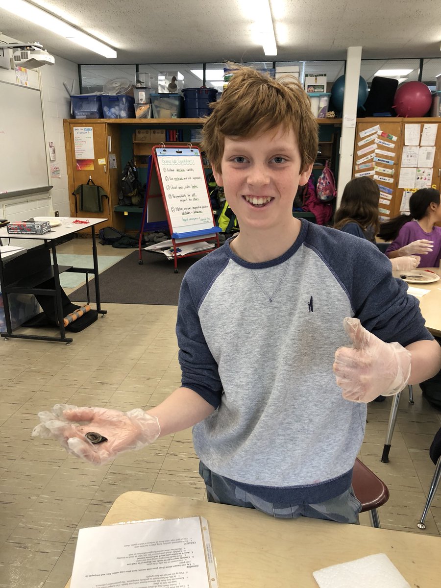 Melgecko's tweet photo. Sheep eyeball dissection. Kids take a concrete look at what they have been studying in books @Team_5Khan https://t.co/uXWmf1ORfU