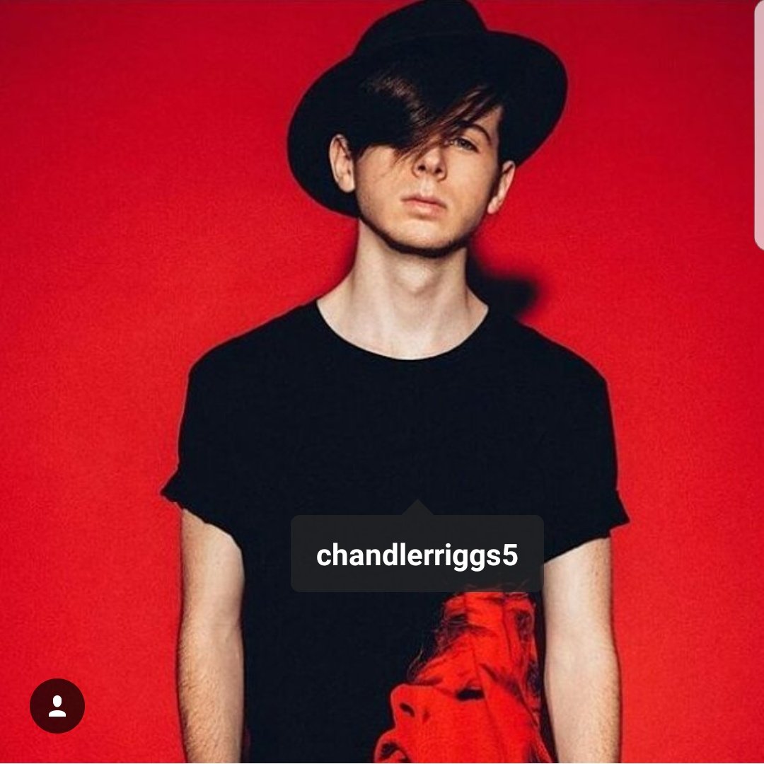 RingLeadersSon's tweet photo. #NewProfilePic https://t.co/0PrqUWFBBp