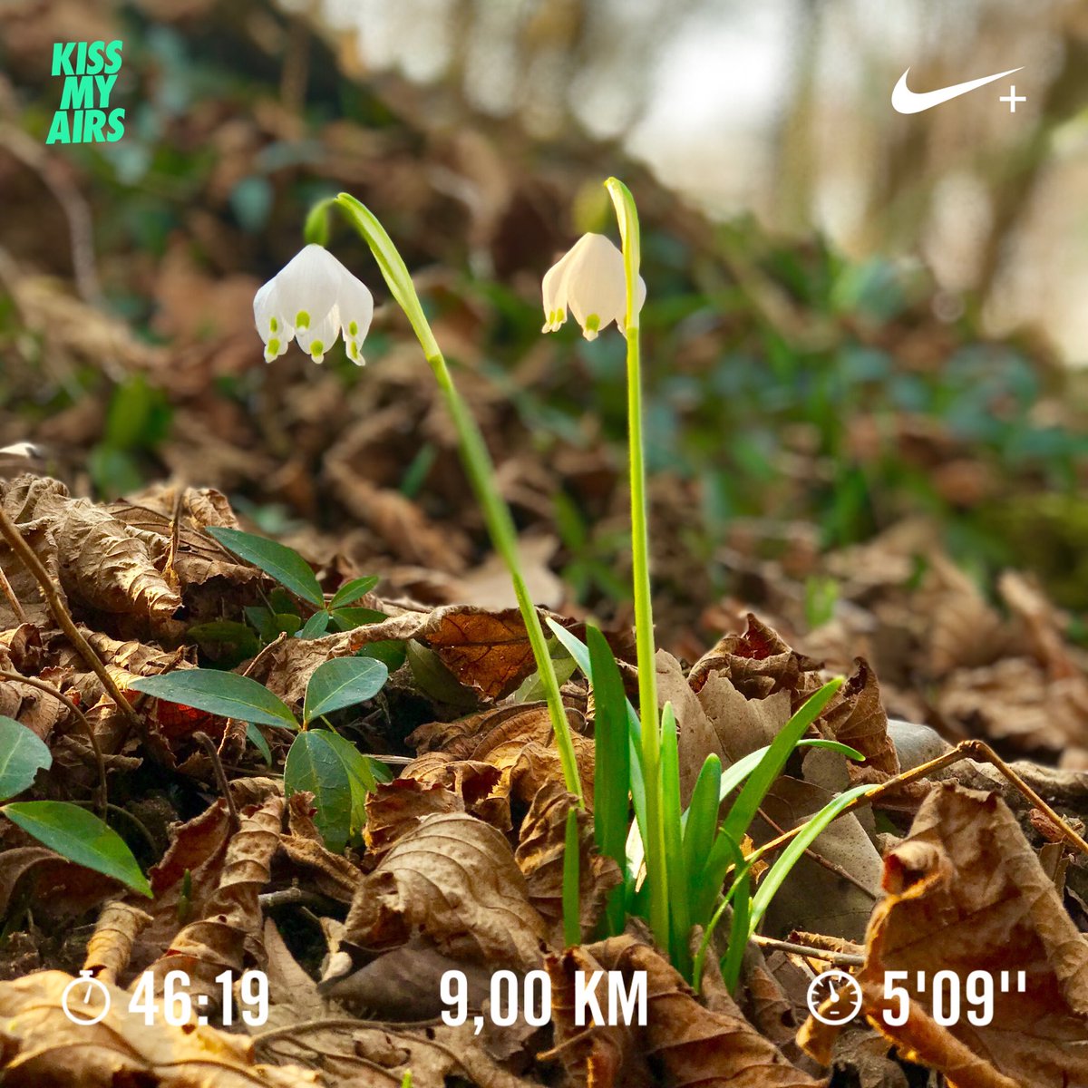 dannales's tweet photo. sgambettata a Fornaci MB aria di primavera. #zenarunners 🏴󠁧󠁢󠁥󠁮󠁧󠁿🏴󠁧󠁢󠁥󠁮󠁧󠁿🏴󠁧󠁢󠁥󠁮󠁧󠁿 #nike #nikepus #nikerunning #runlovers #daro #iocorroqui #runlovers #justdoit #love #borntorun #lovemylife #fornaci #veduggio https://t.co/DmbpjDcFn8