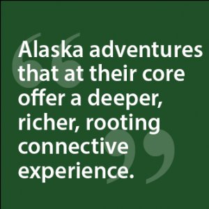 exploretours's tweet image. Are you one of 86% of Americans who have a hard time unplugging? We have just the thing!  bit.ly/2EW7IFr #unplug #experience #alaska