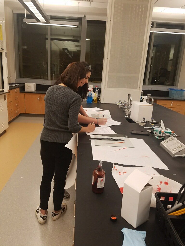 SUForensics's tweet photo. Students of Professor Season Seferyn's FSC 463/663 Bloodstain Pattern Analysis class were having hands on experience analyzing various types of bloodstains in lab last night.
#SUFORENSICS https://t.co/X1kqgUFKZl