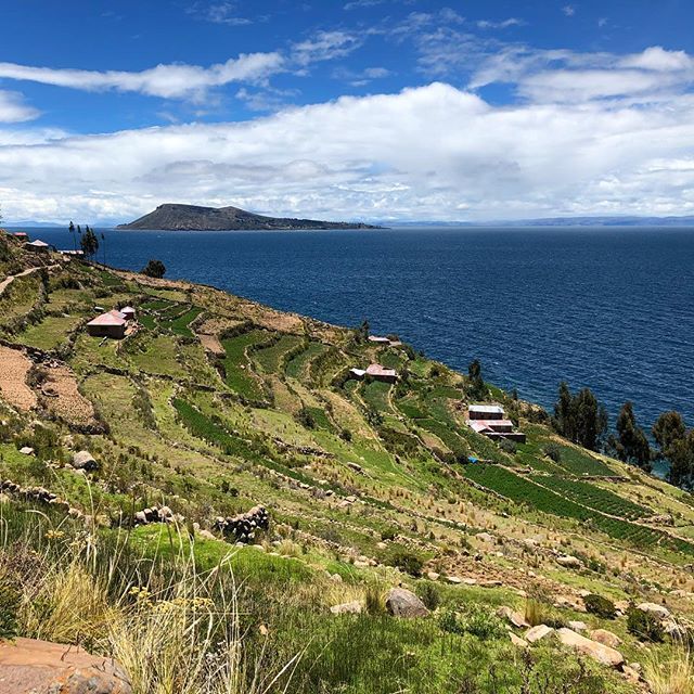 cBlechi's tweet photo. Beautiful island on Titicaca lake. 
#titicacalake #peru #travelperu #travel #travelphotography #instatravel #travelgram #beautifulview #holiday #island #lake #travellover #nofilter https://t.co/EzxZpBIyDN