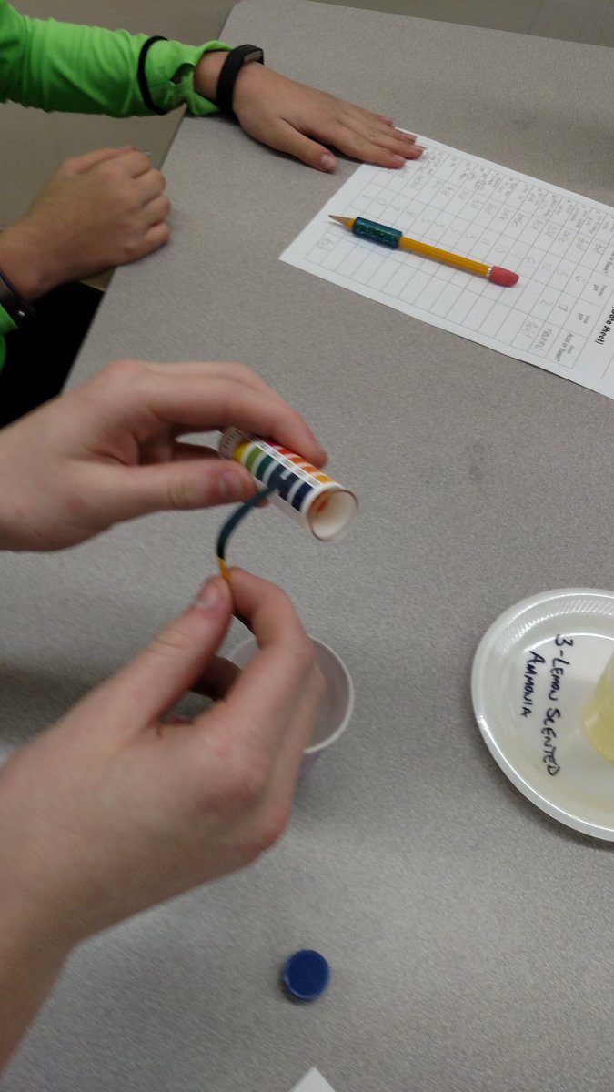 Elite8thScience's tweet photo. Elite 8th physical science students doing a pH and pOH lab. The spoiled milk and oatmeal are the "favorites" right now.
#ScienceGiants
#FearTheTree
#BluffersDoingThings
#DropTheBase
#SciencePuns https://t.co/Ff31wH4hCx