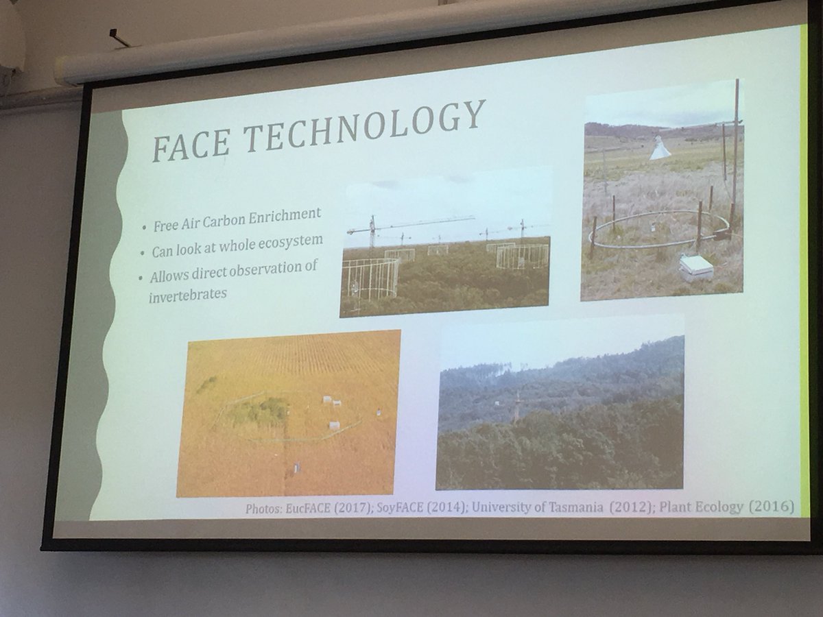 Helen Roy tweet media