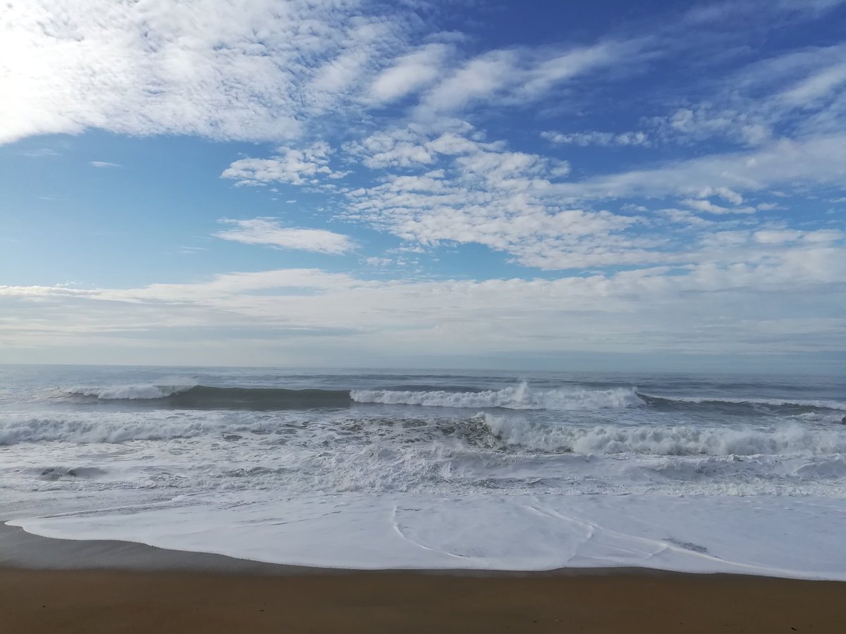 Micky64BTZ's tweet photo. Hello dear @jenniferbeals you re fine? Here it s super day! #Spring
#nowpic https://t.co/73YYw4ZCHm