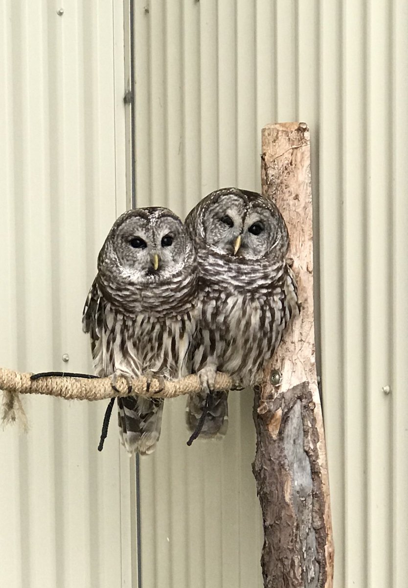 JenisonACT's tweet photo. What a super fabulous trip to the #OutdoorDiscoveryCenter! #JPSPride #JenisonACT https://t.co/bQaI54dMkM
