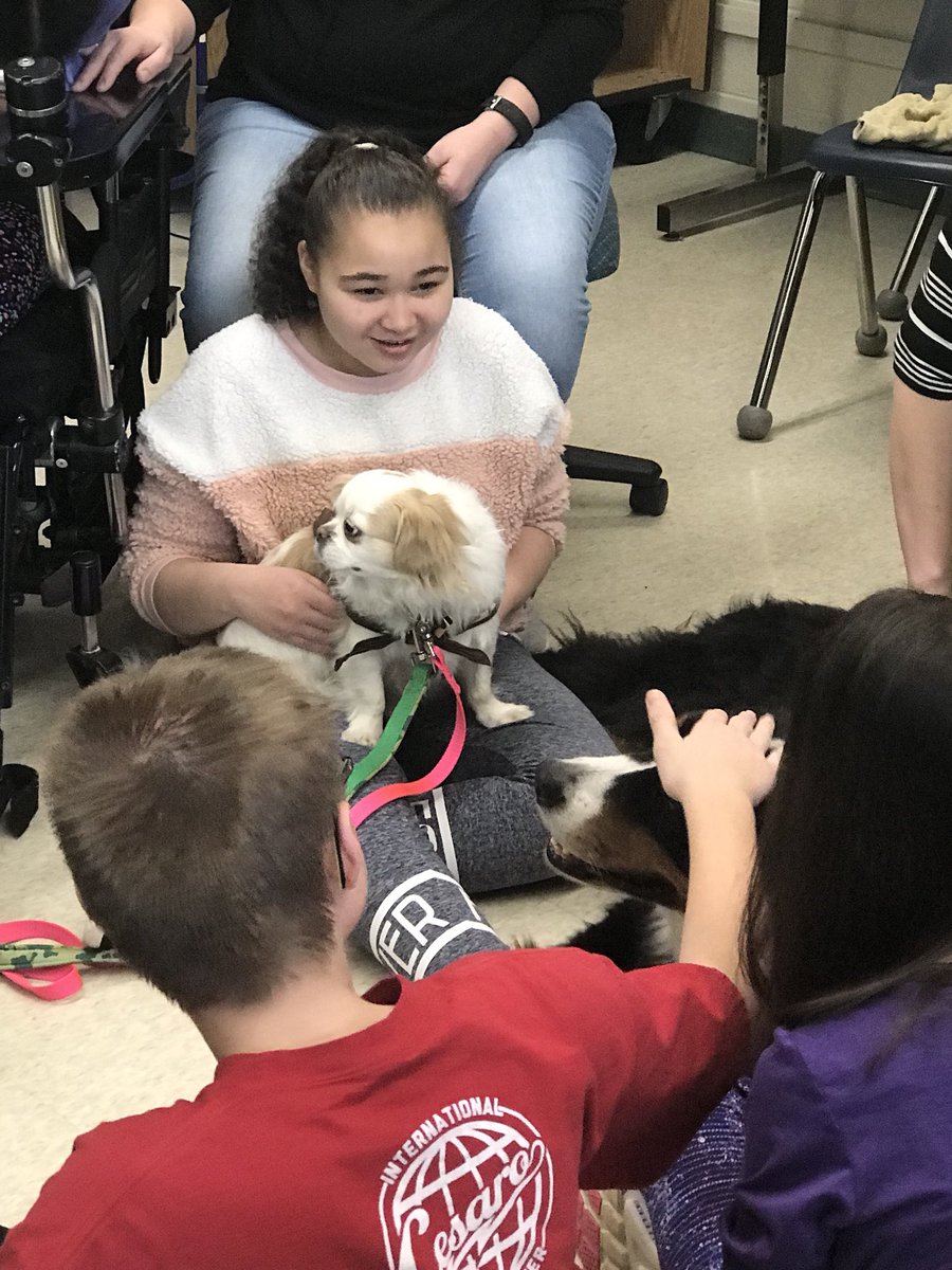 Every Thurs these <a href="/MMScomets/">Mason Middle School</a> have important visitors from #TherapyPets. @PaolaSNews is getting the scoop for <a href="/WCPO/">WCPO 9</a> about the impact these 4-legged friends make in our classrooms!