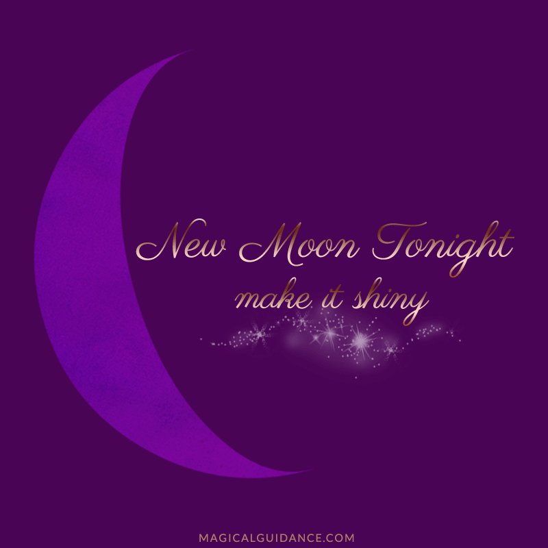 MagicalGuidance's tweet photo. ✨🌛🔮 New Moon tonight, Witches. What are you going to conjure? A new love? New business venture? New home? New attitude? Make it shiny! 🔮🌜✨ #newmoon #witch #magic #magick https://t.co/U5MUUkza7V