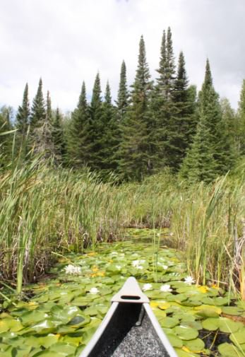 cpawsmb's tweet photo. "There’s absolutely no way that you can commit to the cleanup of Lake  Winnipeg without looking at wetland restoration, and the health of  wetlands as part of that equation". We couldn't agree more here @Min_Squires.  #GreenMB #Boreal @SaveLakeWpg @DUCBoreal https://t.co/0IQ8RgS3qp