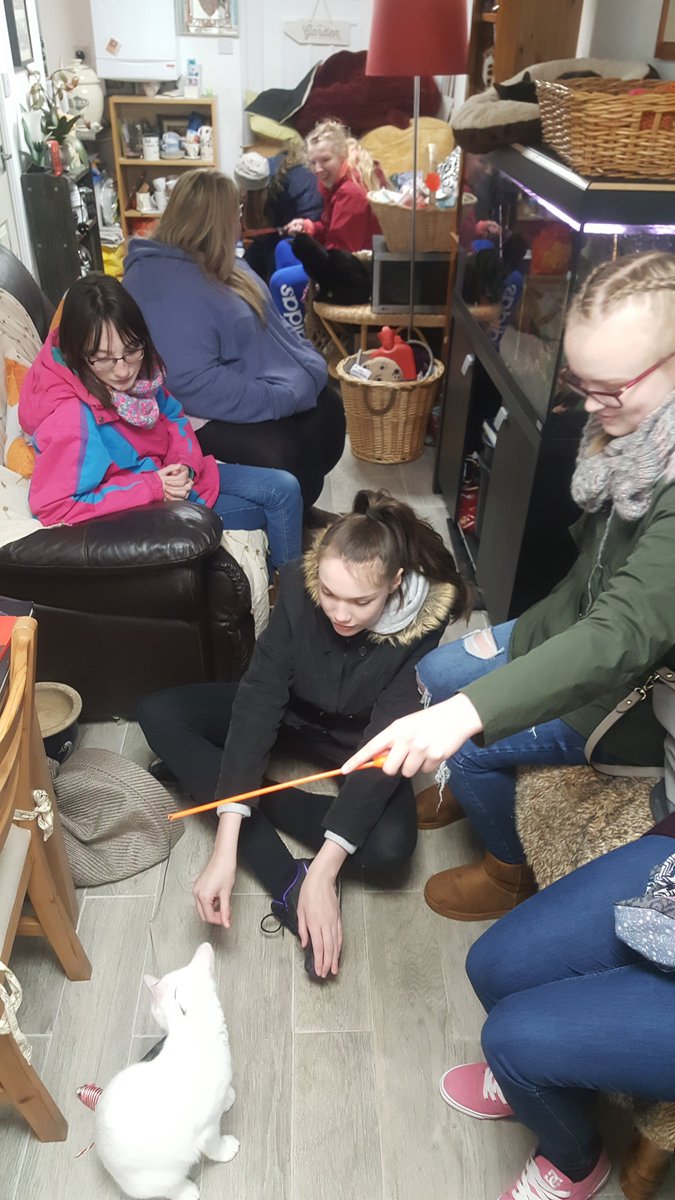 WeyesCNE's tweet photo. Girl's Group visited @WestgateArk Support Shop yesterday as part of their project to support a local animal charity. Thanks to Paul and staff for answering our questions. You do great work! https://t.co/zv86uRTDNj