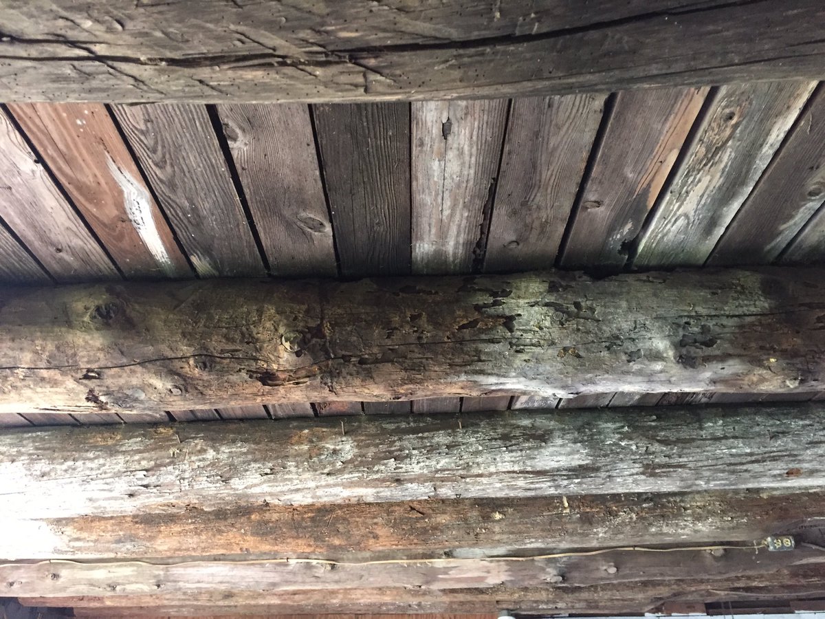 In one year we went from having an old dirty barn, to having a fully functioning gym / throwing lab. Didn’t buy a single thing brand new, or hire anyone to build anything. Craigslist &amp; Home Depot only #velofarm #barn #farm #gym #baseball #upgrades #train #lift #strength #hardwork