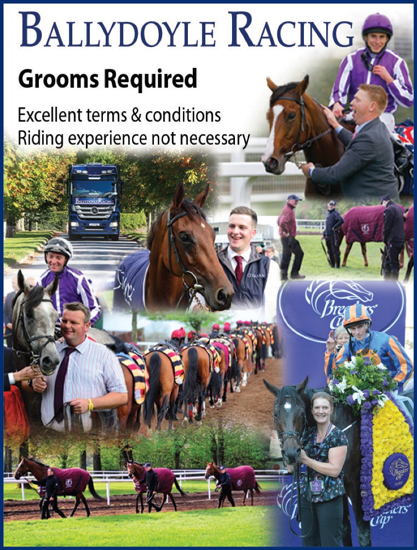 Coolmore On Twitter Please Send Cv And Cover Letter To Aidan O Brien Ballydoyle Racing Rosegreen Cashel Co Tipperary Email Aidanobrien Ballydoyleracing Com Call 353 86 026 7890 Or 353 62 62615 Https T Co Qazjga84v0