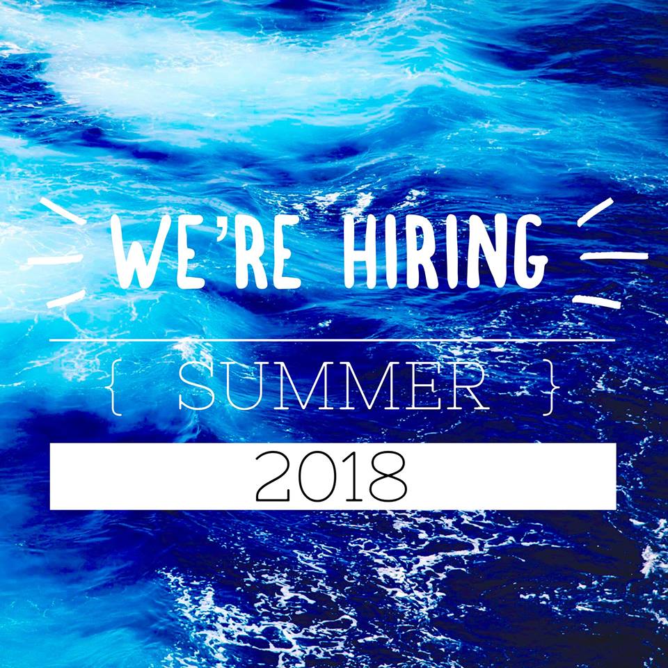 SunCareers's tweet photo. Are you looking to make some extra cash this summer? Check out our seasonal openings! #NowHiring  

👉https://t.co/ObrV4bG2Fe ☀ https://t.co/RRdpeNiZC0