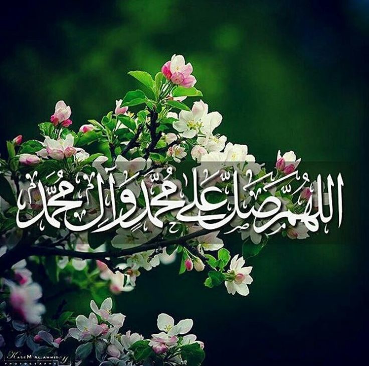 اللهم صل على محمد وآل محمد 
اللهم عجل لوليك الفرج