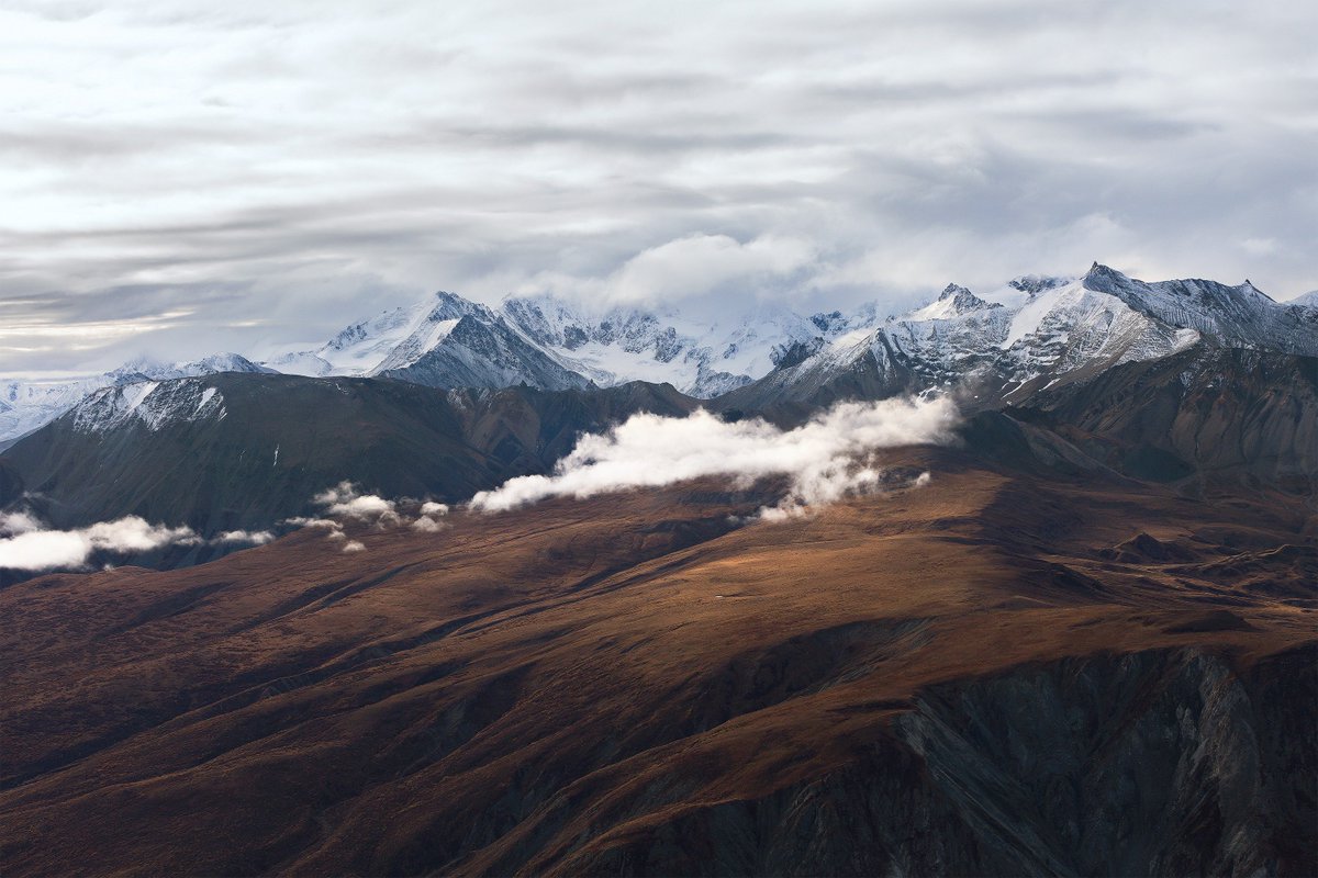 Jared Hail tweet media