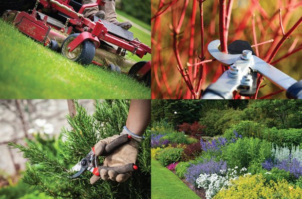 centralbasl's tweet image. We offer several things under our grounds keeping category to include leaf raking, bush trimming, bed cleaning, etc. In addition, we can offer re-mulching, sod, some rock work, edging, etc.