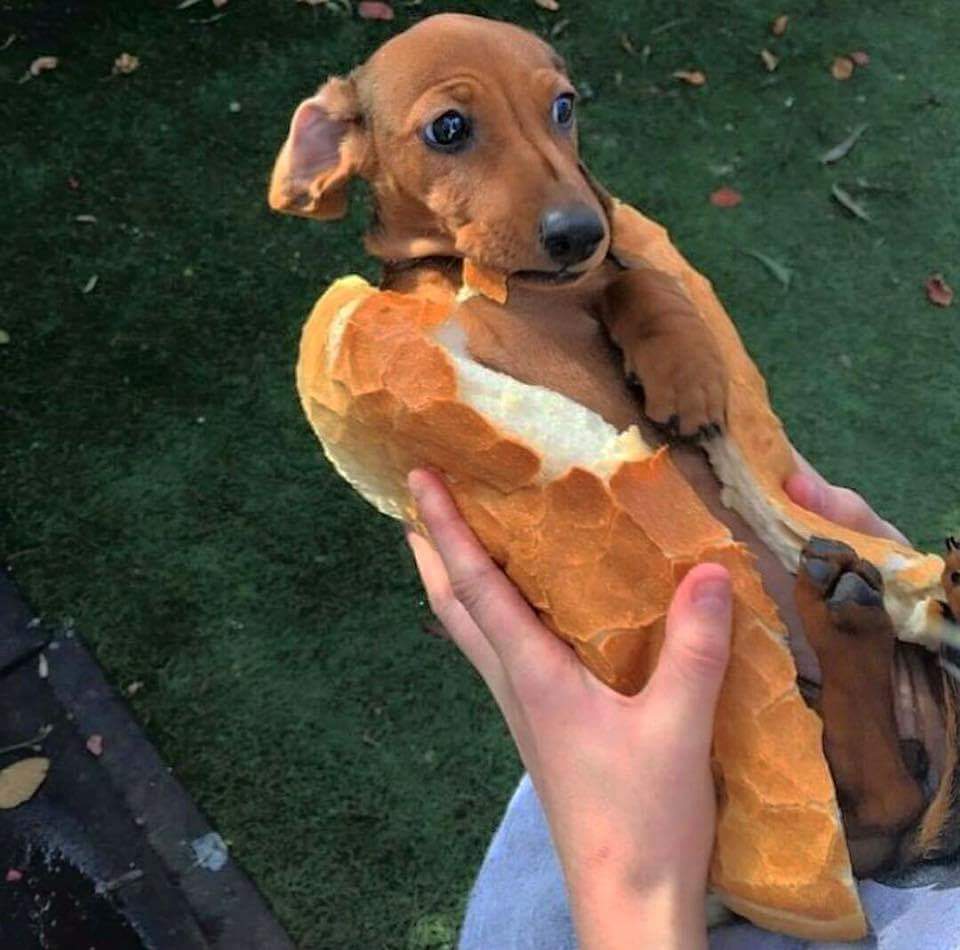 DWG1iBxXUAEh37X.jpg:large