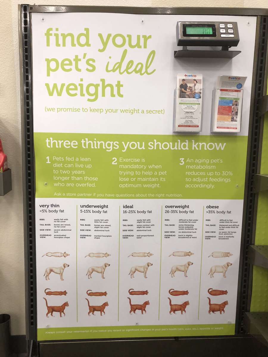 IrongirlNadia's tweet photo. Healthy weight maintenance and physical activity are also important for your pet. 3 tips #doghealth #dogweight https://t.co/i7JWGZsvMV