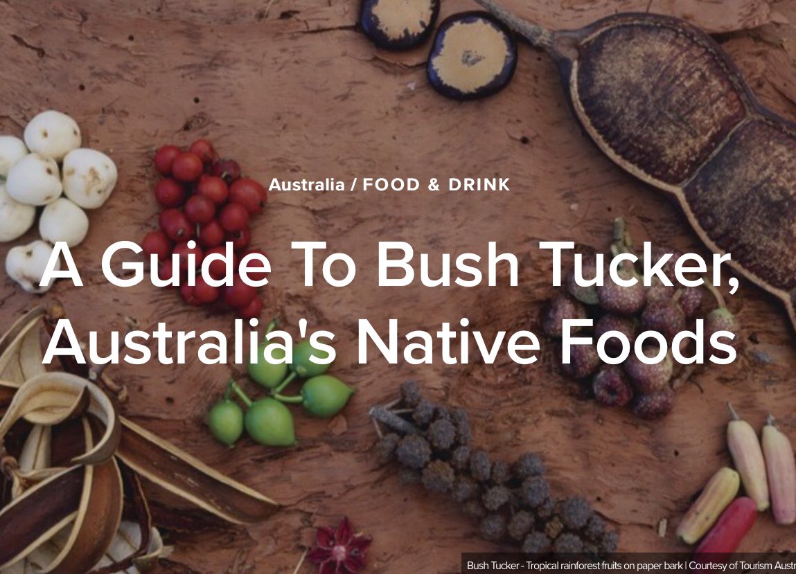 NACCHOAustralia's tweet image. NACCHO Aboriginal Health and #SmartEatingWeek 

We give 40,000 years of bushtucker and #nutrition the #thumpsup @IndigenousX @KenWyattMP 

Contributions from @Wuchopperen @NutritionAust #NATryFor5 #NATryFor5 @SandroDemaio @MenziesResearch @DAA_feed 

nacchocommunique.com/2018/02/16/nac…