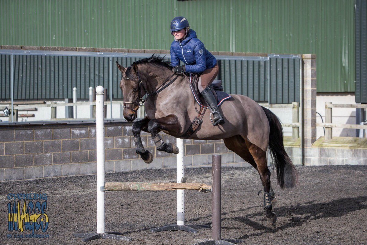 Alicia Hawker tweet media