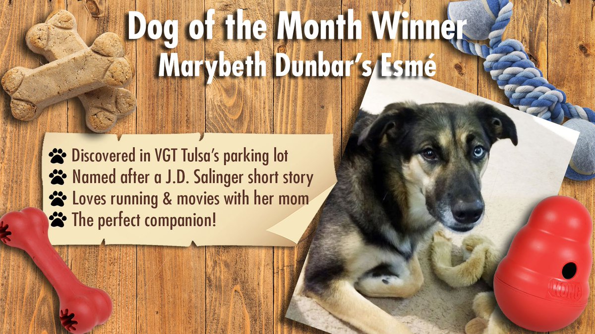 VGTCareers's tweet photo. Tulsa's Dog of the Month! Look at those beautiful eyes! https://t.co/OQP2U0wAet