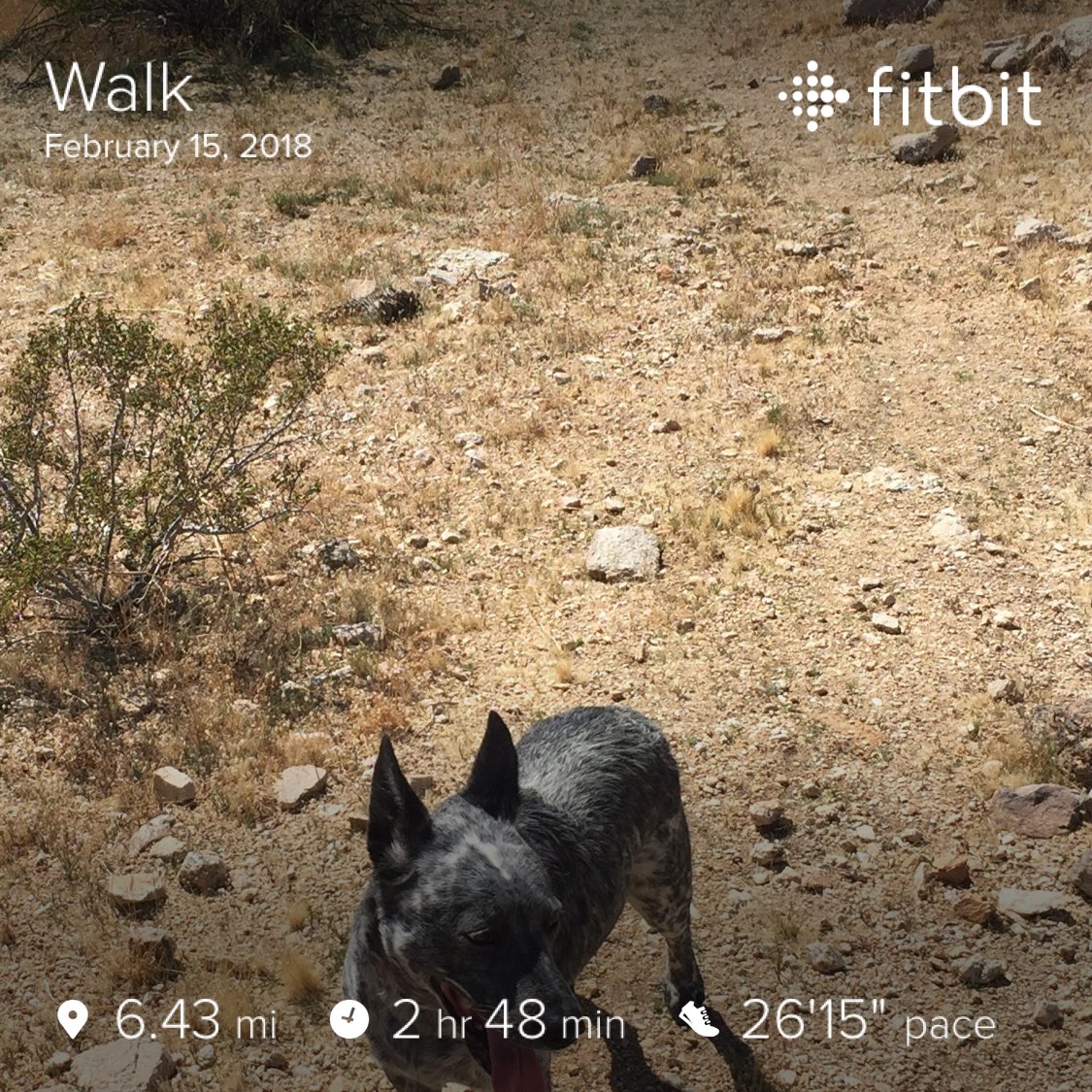 BenchTimothy's tweet image. 😅