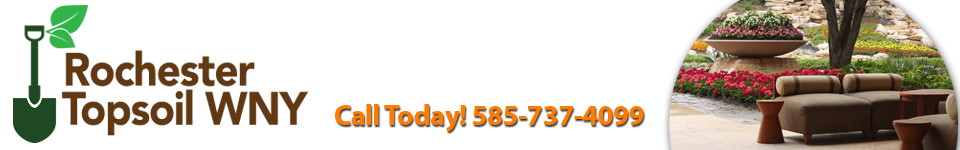 Rochester Topsoil tweet media