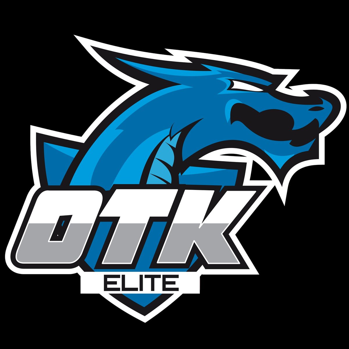 Chicos nuestro 27vo equipo inscrito y ellos son....OTK Elite son buenos y vienen a romperla 😉

Twitter:<a href="/OTK_Elite/">OTK Elite</a>