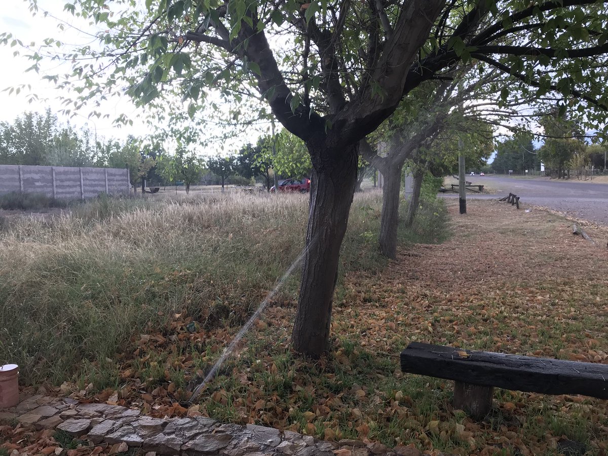 anitamendocina's tweet photo. @AguasMendocinas hace 1 semana denunciamos rotura de caño en el ingreso al B Rincon Vistalba sobre RSP https://t.co/He5dQHM0gu