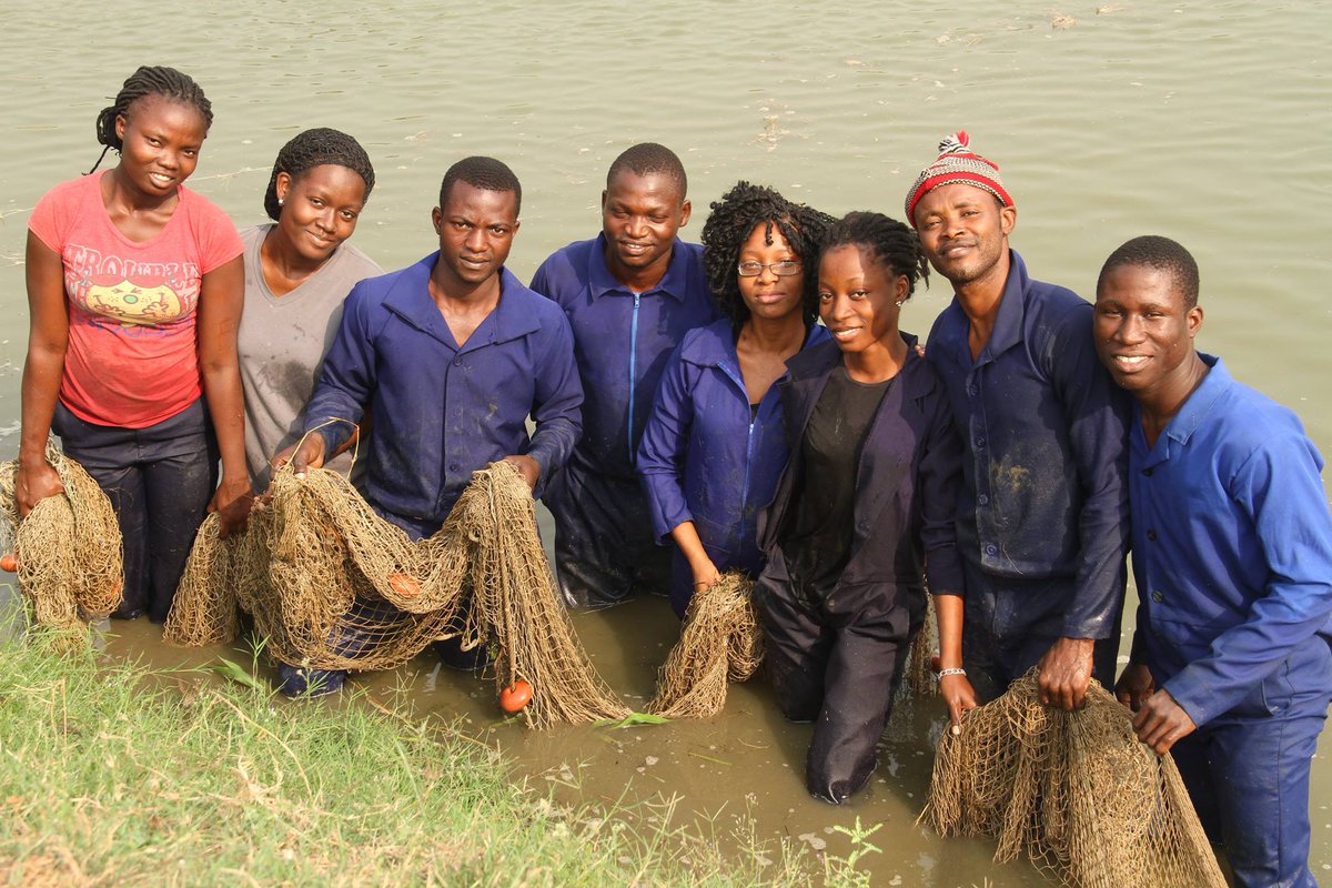 CORAFNews's tweet photo. Nous devons maintenir nos #jeunes en #Afrique et les habiliter à devenir un moteur du développement économique.
Découvrez la politique du @CORAFNews sur l’implication des jeunes en #agribusiness
https://t.co/fWzOZrJWij https://t.co/sFNTerUDYa