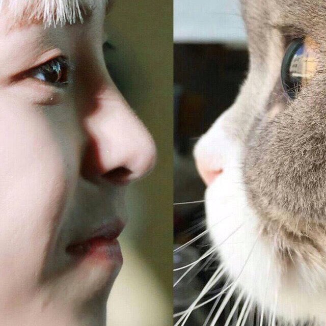 E_XIUtaste_O's tweet image. #iHeartAwards #BestFanArmy #EXOL @weareoneEXO