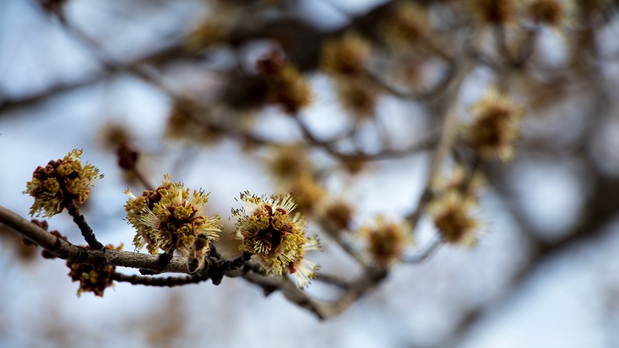 jeffoffej's tweet image. #TheseThings: a #poem by #liyounglee, the #song #alone by @tbtduluth, and a #WTF video by @billwurtz and all because #ValentinesDay jefferyoliver.com/2018/02/these-…