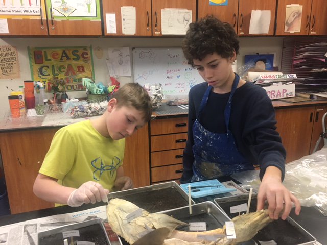 WDPPKS's tweet photo. PKS Project Showcase Night.
Phantom Knight student, Joshua, had the chance to teach Jake, a student from Westwood, all about dissecting a dogfish shark as well as how to use the pottery wheel.  @Westwood742 https://t.co/tueXZKVCZn