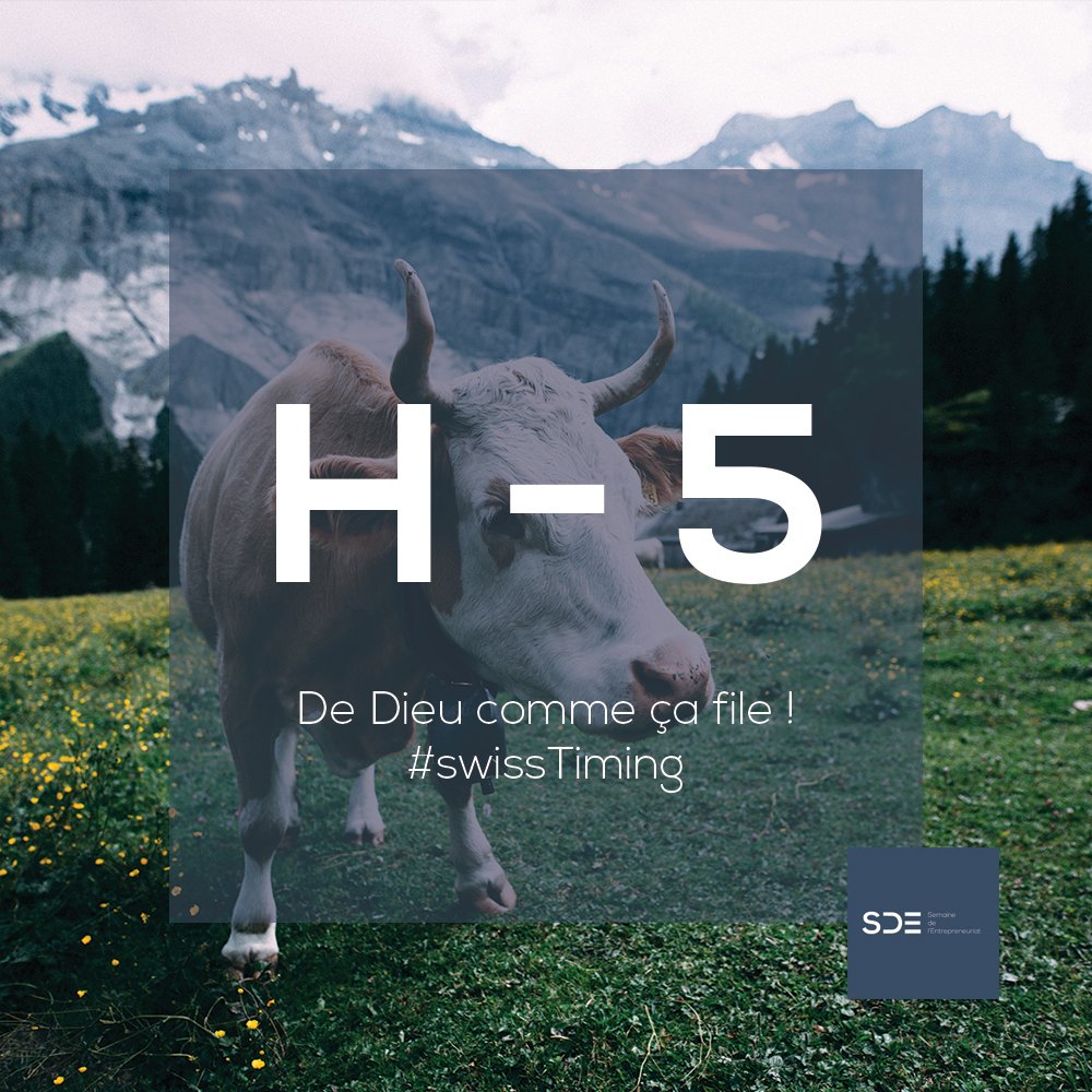 SDE-HEC tweet media