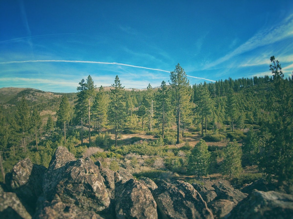 petosagan's tweet photo. RIDE WITH ME! I love California and we’re heading deep into the mountains to drink it all in at the first #SaganFondo. We ride the gravel around #Truckee on May 5th, so get your spot NOW —https://t.co/FwsUmpcPwm https://t.co/yseMelbbep