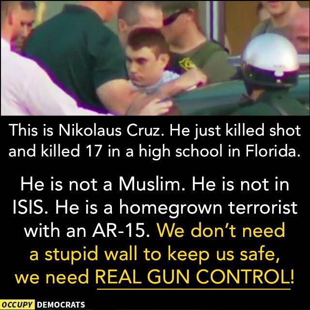 GunControlPlz's tweet image. What will it take?