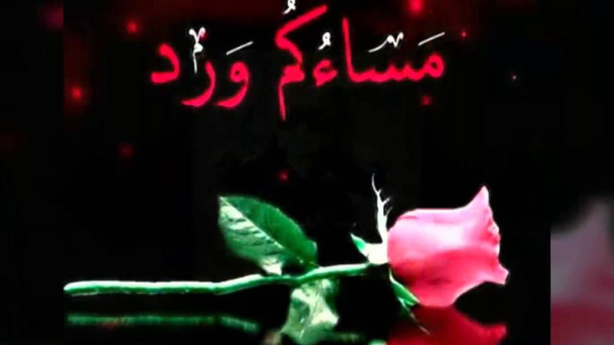 Muhammed196432's tweet photo. @Xayma2M https://t.co/EbzoKO62Kc
