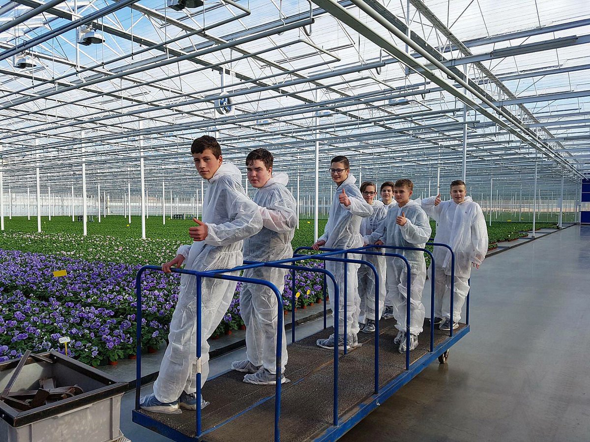 Twintig enthousiaste scholieren hebben zich aangemeld voor de Doe Dag van <a href="/WestlandOnStage/">Westland On Stage</a>. Vandaag hebben wij hen verwelkomd en stapten zij in de wereld van een plantenkwekerij. We hopen dat deze scholieren enthousiast zijn geworden over ons mooie vak! <a href="/VreugdenhilYP/">Vreugdenhil</a> #tuinbouw