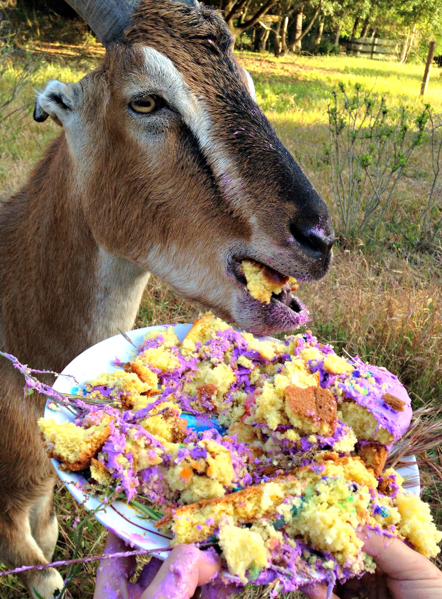 Happy Birthday Darrell Green 