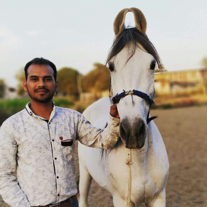 aniruddh18's tweet photo. Grey is the new black ...!!!

Posing with my beautiful kathiyawari mare Pistol 👌👌🐎👍

#aniruddhsinh
#vaghela 
#stayequestrian 🏇👍 https://t.co/gXKizYl1Dy