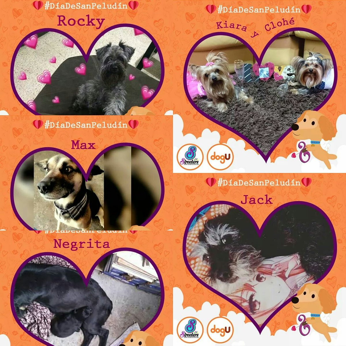 DogUapp's tweet photo. #SiMePermites te presumo a nuestros participantes de #DíaDeSanPeludín 🐕🐩💙 ¡!Suerte para todos ellos!! Si quieres apoyarlos solo tienes que visitar nuestra página de #Facebook, entrar al álbum y darles like 👍👍👍 https://t.co/Ag06uuIy1U