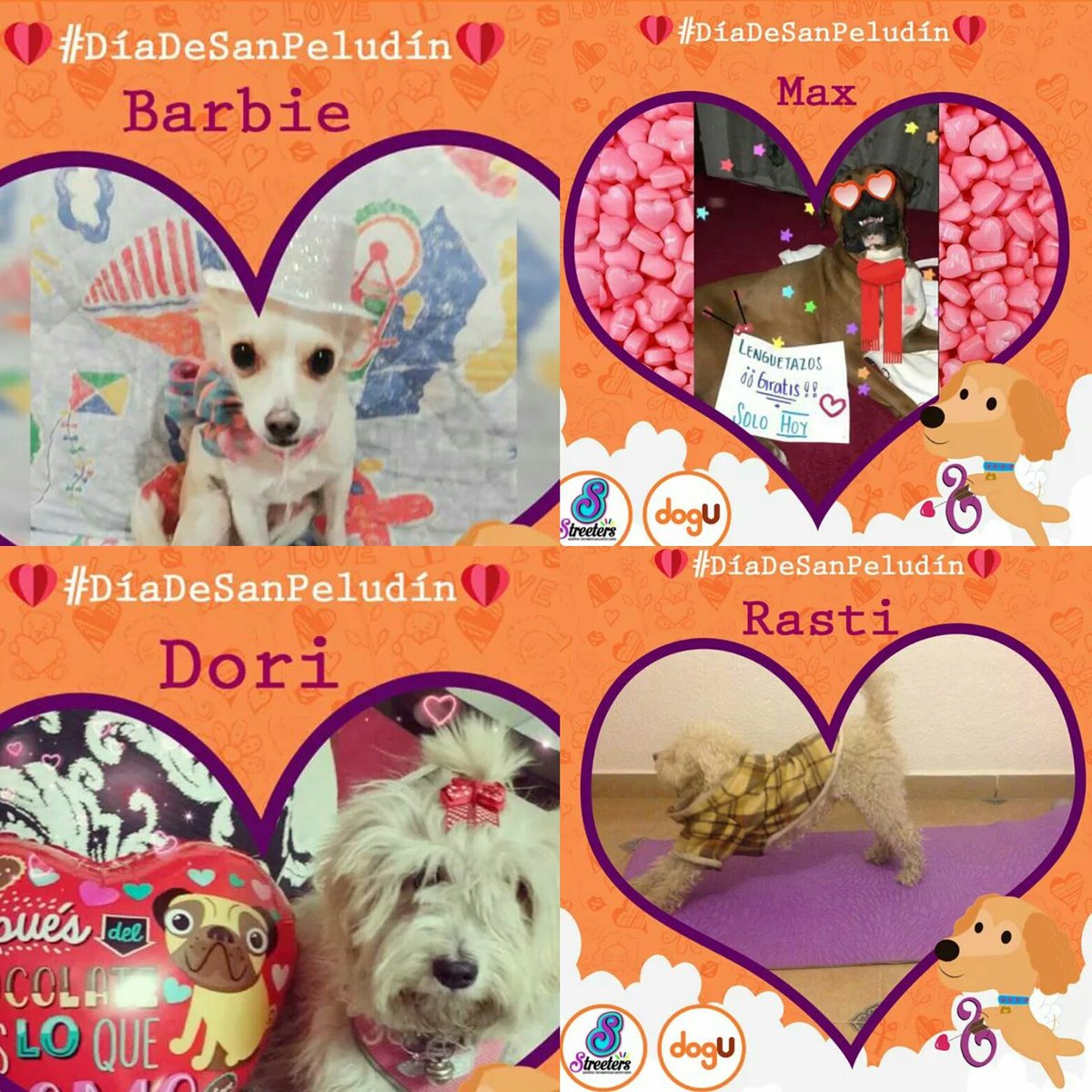 DogUapp's tweet photo. #SiMePermites te presumo a nuestros participantes de #DíaDeSanPeludín 🐕🐩💙 ¡!Suerte para todos ellos!! Si quieres apoyarlos solo tienes que visitar nuestra página de #Facebook, entrar al álbum y darles like 👍👍👍 https://t.co/Ag06uuIy1U