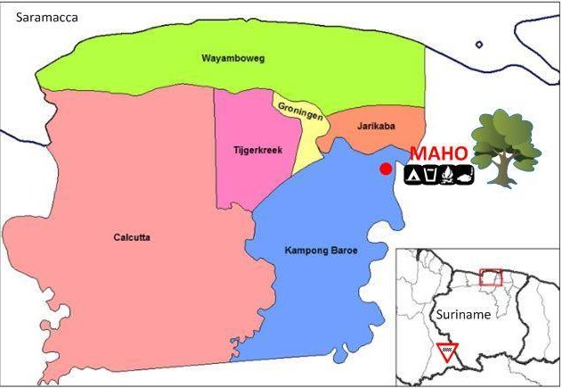 kalinyaSR's tweet photo. #Maho still under #threat, landgrabbing armed security intimidates Indigenous community in #Suriname https://t.co/XP0XdeWqDc