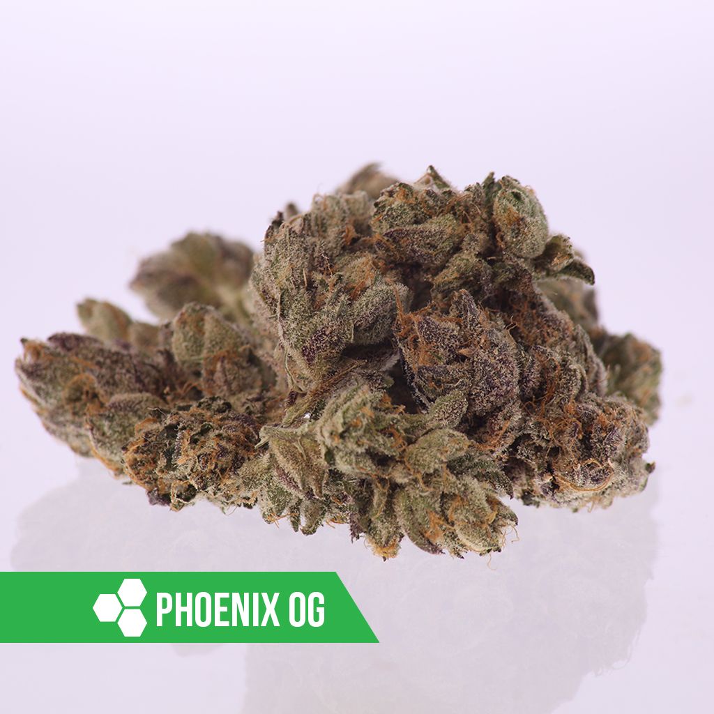 HWCMMJ's tweet photo. 🔥💨#PhoenixOG💨🔥 ...always FIRE! Check it out, you won't be disappointed! #HWCFam #HerbalWellnessCenter #TrueConnoisseur #AZMMJ #CannabisCommunity #trichomes #420 https://t.co/npj1l1MZXR