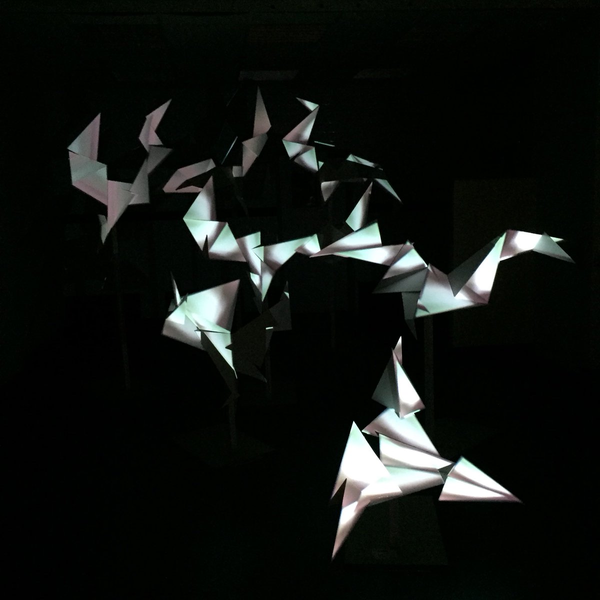 Listening to birds tweeting and watching the dynamic Birds art exhibit in town #LightUpPoole18